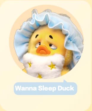Wanna Sleep Duck
